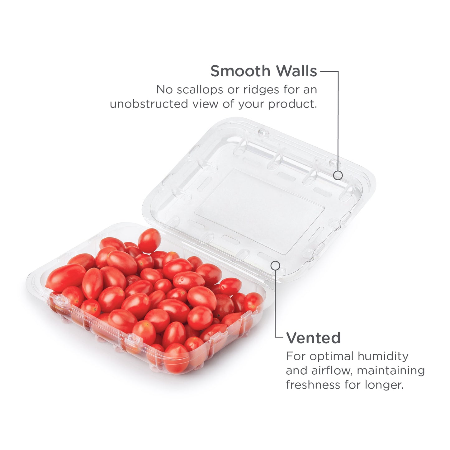 12 oz Vented Fruit & Veggie Container | Compostable | PLA
