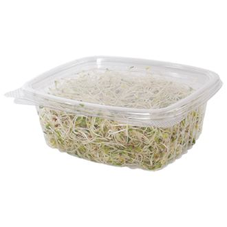 12 oz Rectangular Container | Clear PLA | Hinged Lid