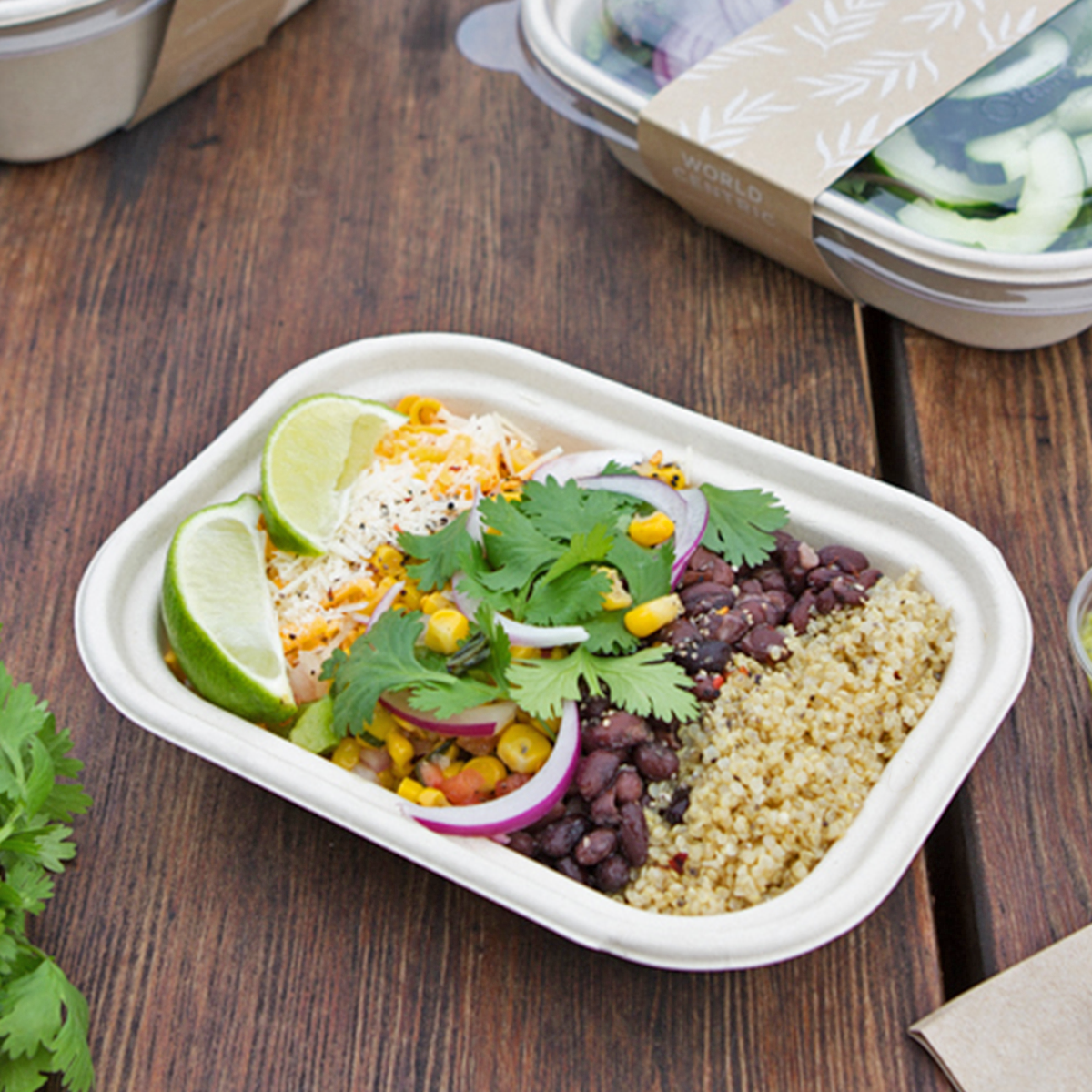 17 oz Compostable Fiber To Go Box Container with PLA Lining