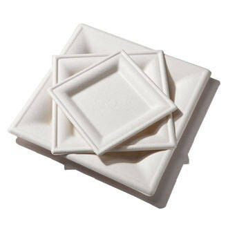 8" Square Plate | Compostable Sugarcane (Case of 500)