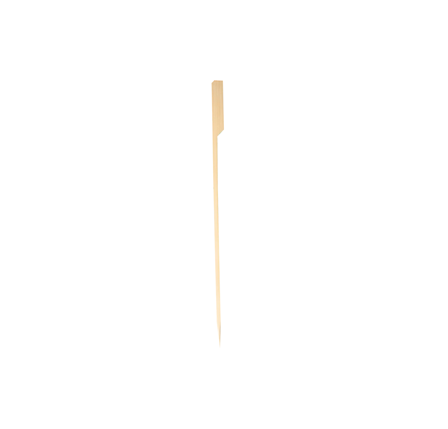 10" Bamboo Skewer | Compostable