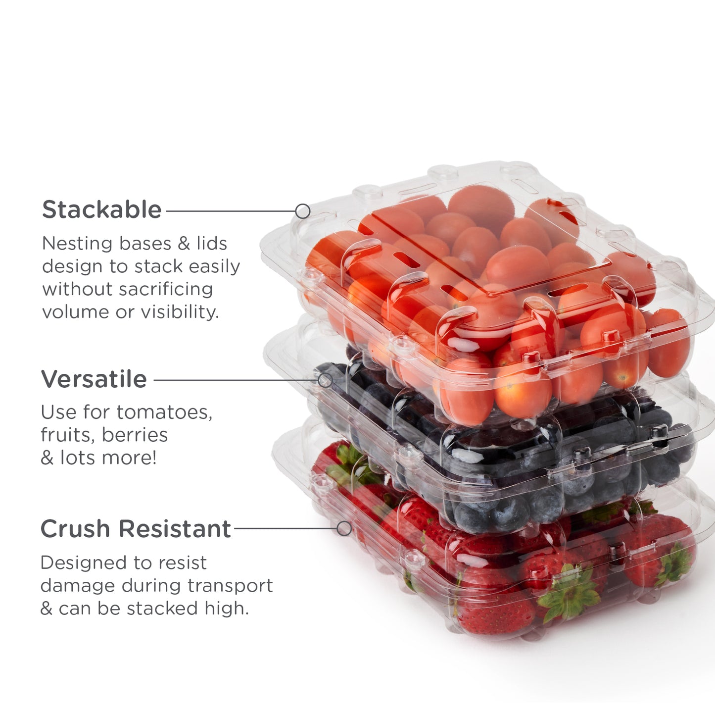 12 oz Vented Fruit & Veggie Container | Disposable & Compostable | PLA | Case of 285