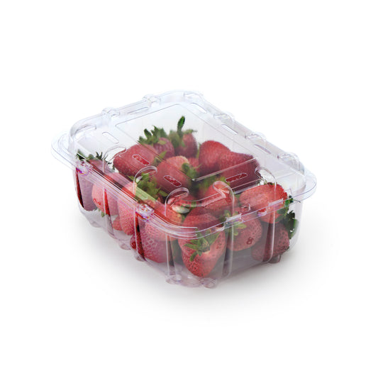16 oz Vented Fruit & Veggie Container | Compostable | PLA
