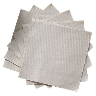 Lunch Napkins 13" x 13" | Home Compostable