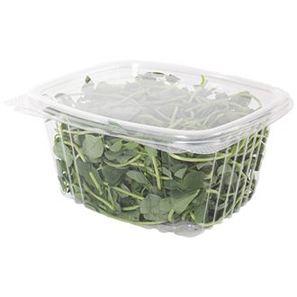 16 oz Rectangular Container | Clear PLA | Hinged Lid