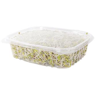 24 oz Rectangular Container | Clear PLA | Hinged Lid