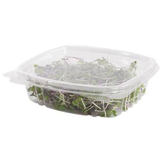 8 oz Rectangular Container | Clear PLA | Hinged Lid