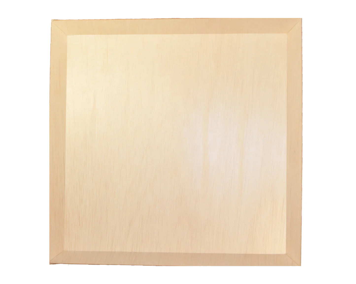 12" x 12" x 1" Square Tray | Fixed Side | Large (Case of 100)