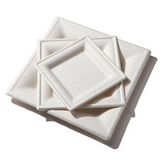 6" Square Plate | Compostable Sugarcane (Pack of 250)